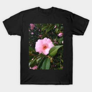 Light pink flower T-Shirt